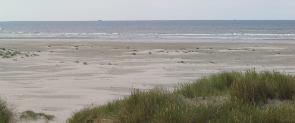 Noordzeestrand