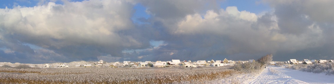 Turkoois in de winter